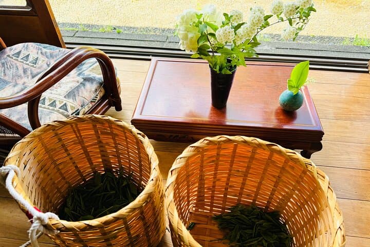 7hr Private Wazuka True Hidden Kyoto Matcha Farm Experience — photo 17