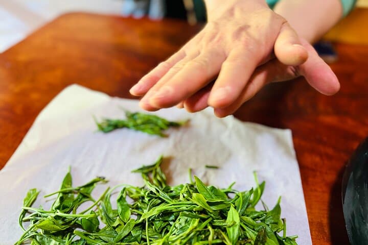 7hr Private Wazuka True Hidden Kyoto Matcha Farm Experience — photo 15