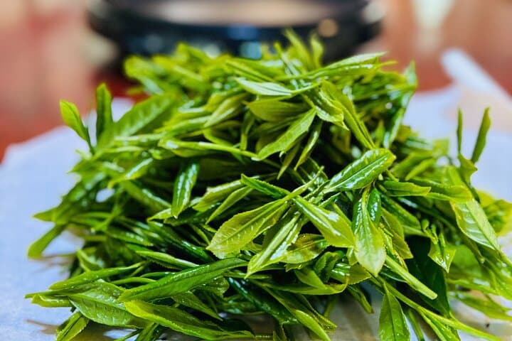 7hr Private Wazuka True Hidden Kyoto Matcha Farm Experience — photo 11