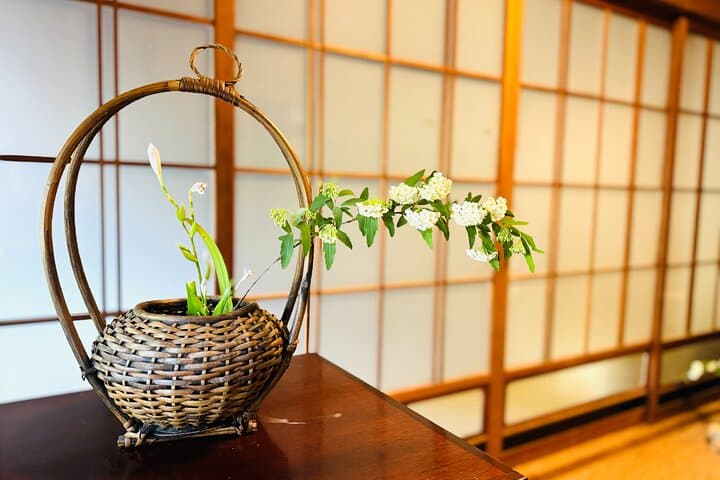 7hr Private Wazuka True Hidden Kyoto Matcha Farm Experience — photo 20