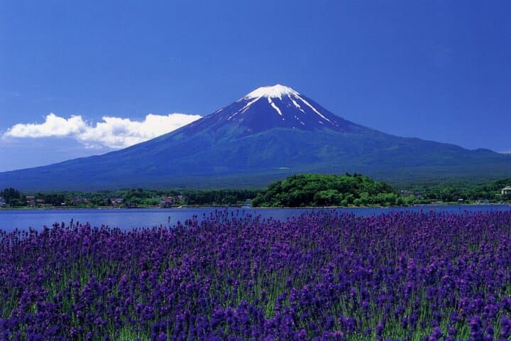 From Tokyo: Mt Fuji Full Day Private Tour — photo 3