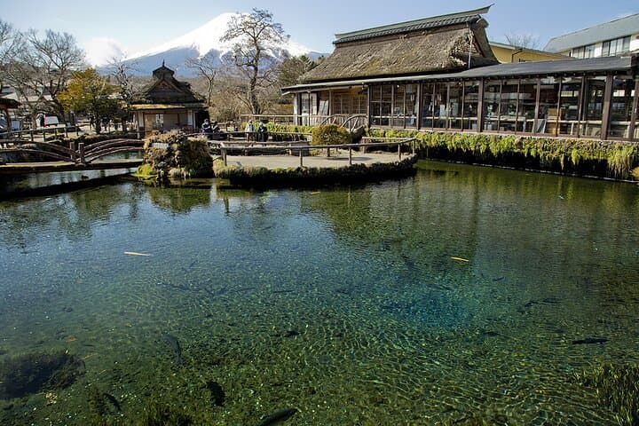 From Tokyo: Mt Fuji Full Day Private Tour — photo 4