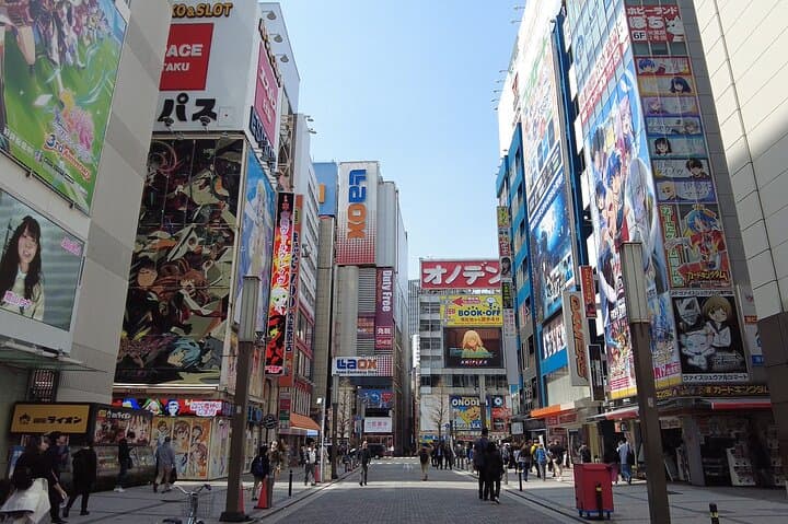 Tokyo Customizable Private One Day Walking Tour Hotel Pickup — photo 10