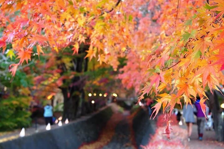 Mt. Fuji Tour: 5th Station Arakurayama Sengen Park & Matcha Tokyo — photo 2