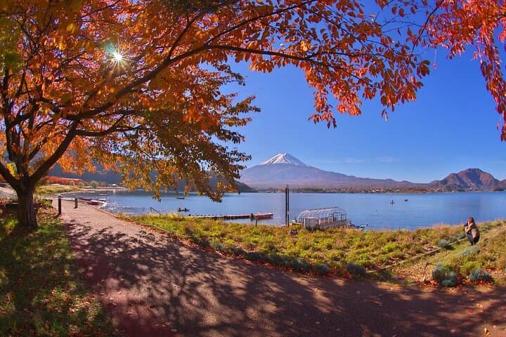 Mt. Fuji Tour: 5th Station Arakurayama Sengen Park & Matcha Tokyo — photo 1