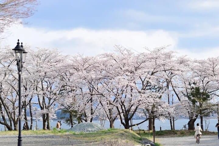 Mt. Fuji Tour: 5th Station Arakurayama Sengen Park & Matcha Tokyo — photo 4