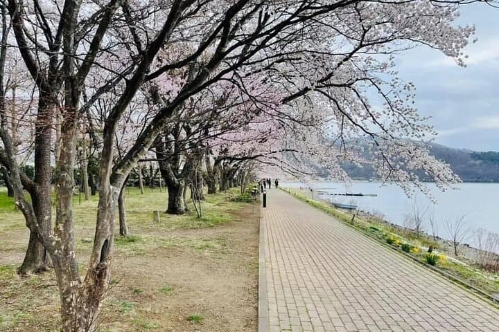 Mt. Fuji Tour: 5th Station Arakurayama Sengen Park & Matcha Tokyo — photo 5