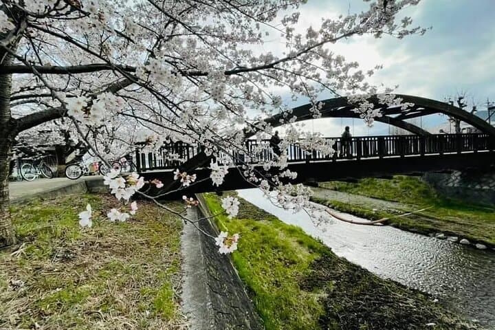 Mt. Fuji Tour: 5th Station Arakurayama Sengen Park & Matcha Tokyo — photo 8