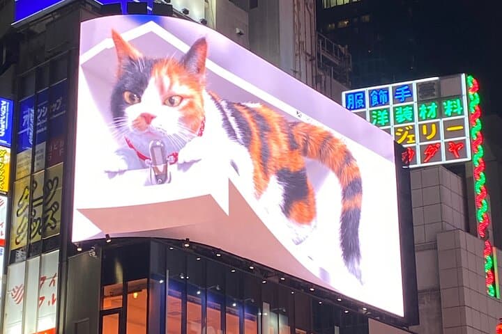 Guided Kabukicho Deepdive -All U Can Drink Izakaya & Sake Tasting — photo 6