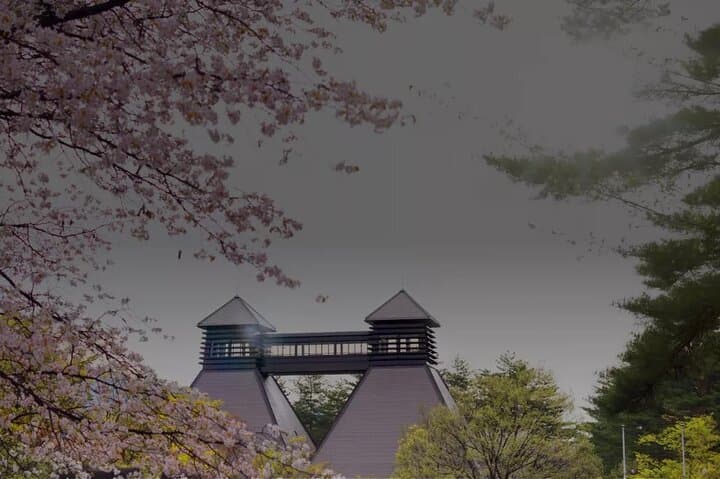 Mt. Fuji, Onsen (tattoo ok) & Japanese Sake, Wine & Whiskey tour — photo 17