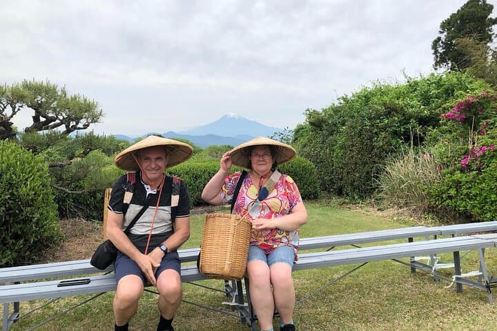 Step- Free easy going tour from Shimizu Port / Sedan Taxi — photo 4