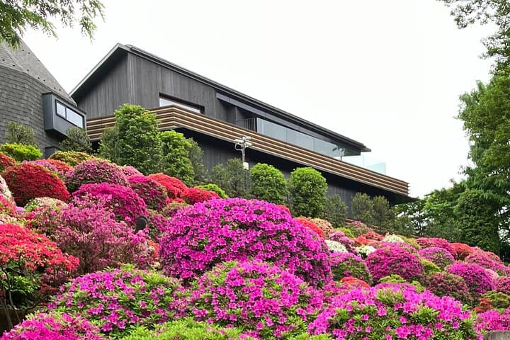 Family-Friendly Customizable Tokyo Tour with a Licenced Guide — photo 12