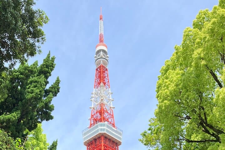 Family-Friendly Customizable Tokyo Tour with a Licenced Guide — photo 13
