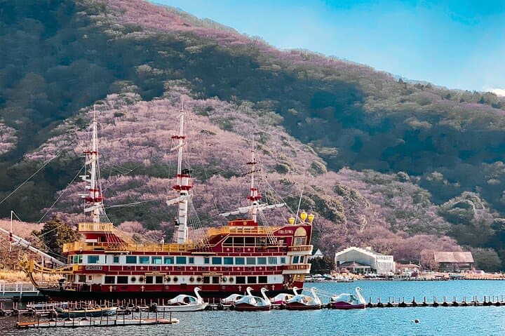 Private Fuji Hakone Tour Charter with bilingual chauffeur — photo 5