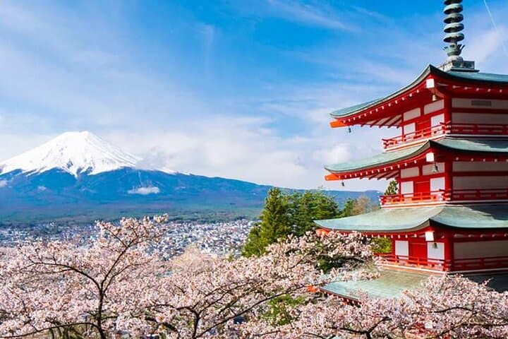 Mount Fuji, Oshino Hakkai and Park Sightseeing Day Tour — photo 4