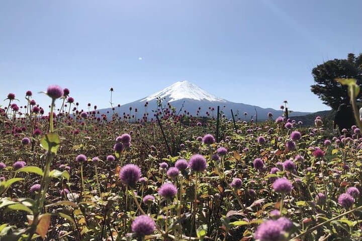 Mount Fuji, Oshino Hakkai and Park Sightseeing Day Tour — photo 5