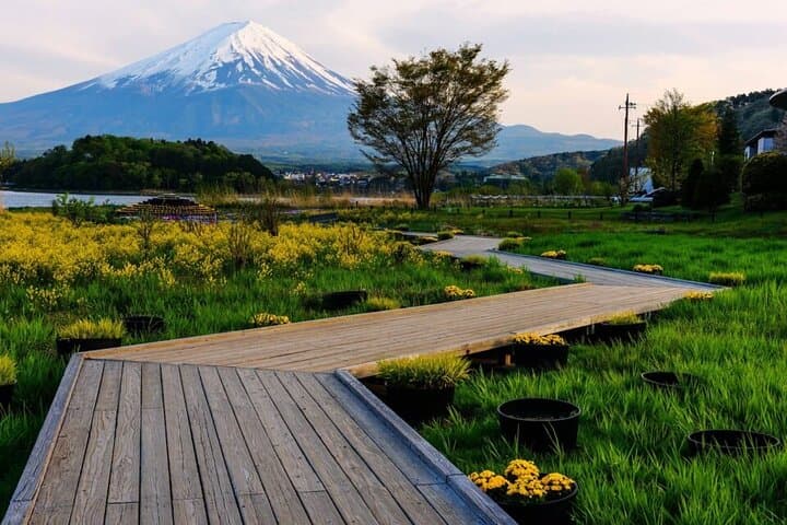 Mount Fuji, Oshino Hakkai and Park Sightseeing Day Tour — photo 2