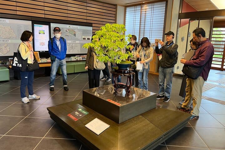 Private Omiya Bonsai Village Tour with Licensed Guide — photo 2