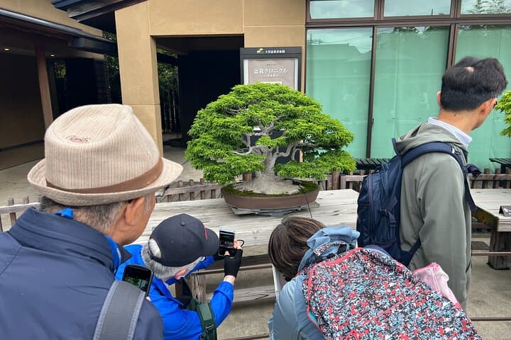 Private Omiya Bonsai Village Tour with Licensed Guide — photo 4
