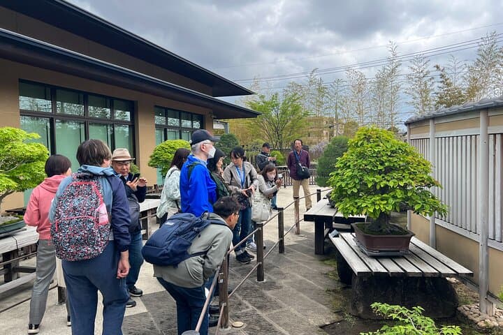 Private Omiya Bonsai Village Tour with Licensed Guide — photo 5