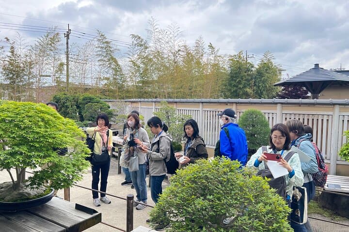Private Omiya Bonsai Village Tour with Licensed Guide — photo 6