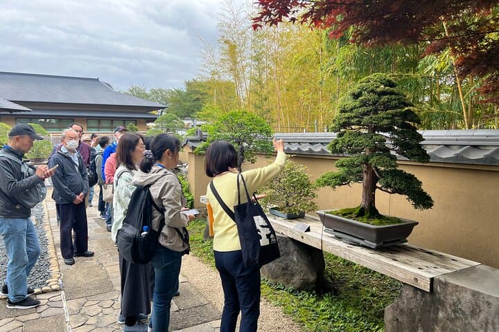 Private Omiya Bonsai Village Tour with Licensed Guide — photo 8