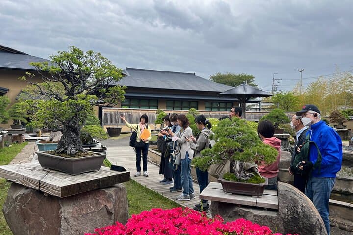 Private Omiya Bonsai Village Tour with Licensed Guide — photo 10