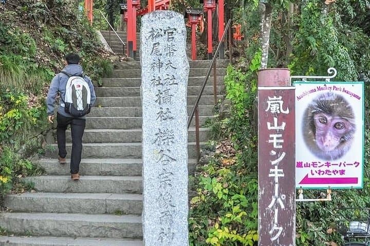 Private Day Tour - Kyoto Arashiyama & Bamboo Forest Perfect Tour! — photo 7