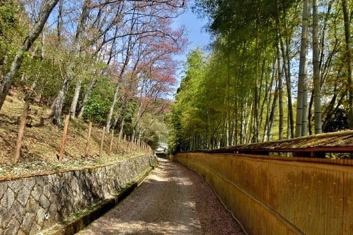 Full Day Private Walking Day Tour in Kyoto with Tea — photo 8