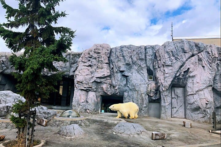 Hokkaido Asahiyama Zoo, Furano & Ningle Terrace Scenic Day Tour