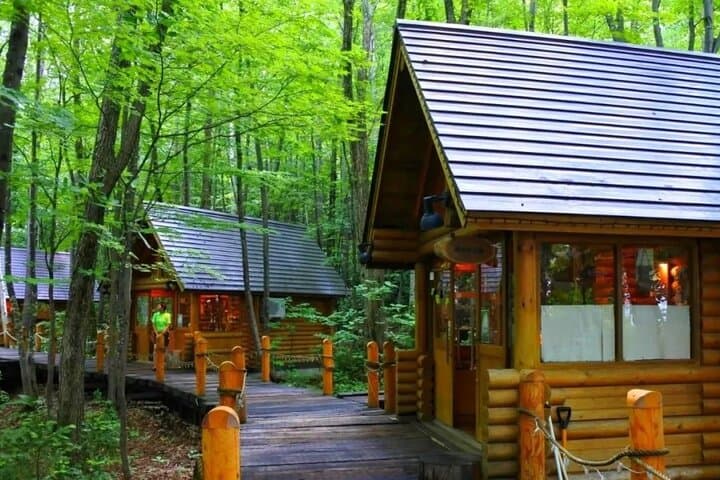 Hokkaido Asahiyama Zoo, Biei & Ningle Terrace Day Tour | Hokkaido — photo 5