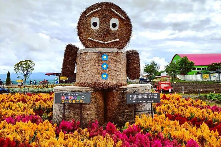 Hokkaido Asahiyama Zoo, Furano & Ningle Terrace Scenic Day Tour — photo 2