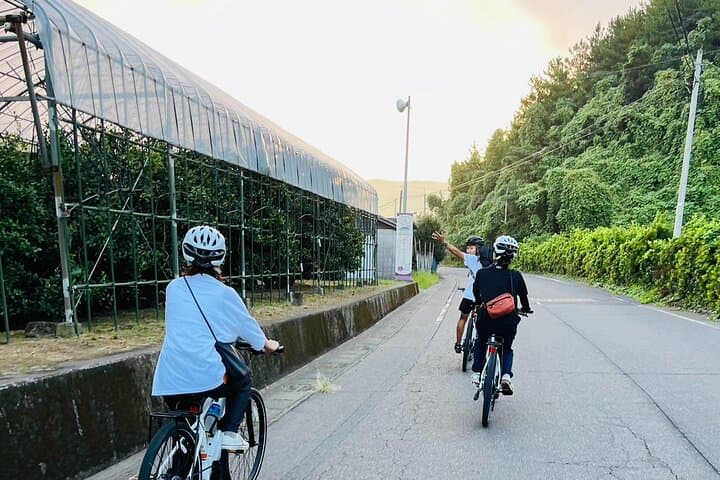 Sakurajima Sunrise E-bike Journey — photo 7