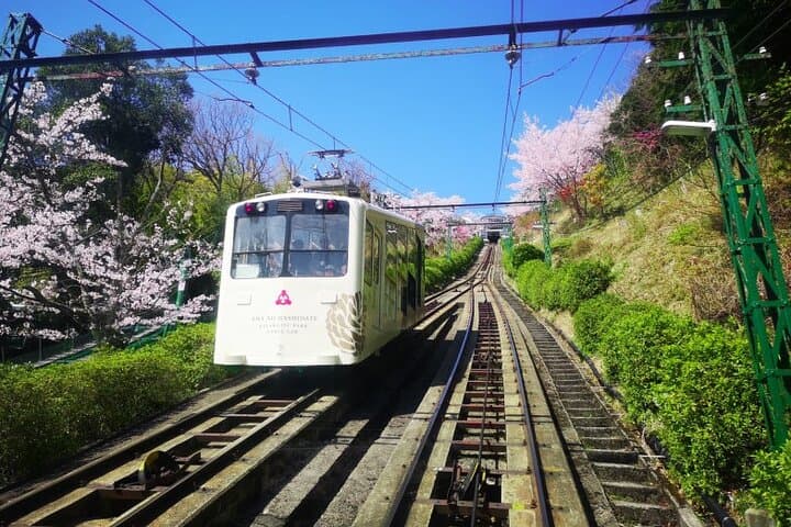 Amanohashidate & Miyama 1-Day Bus Tour: From Osaka/Kyoto w/ Lunch — photo 2