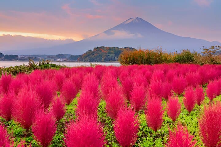From Tokyo: Mt Fuji and Hakone Private Day Trip — photo 9