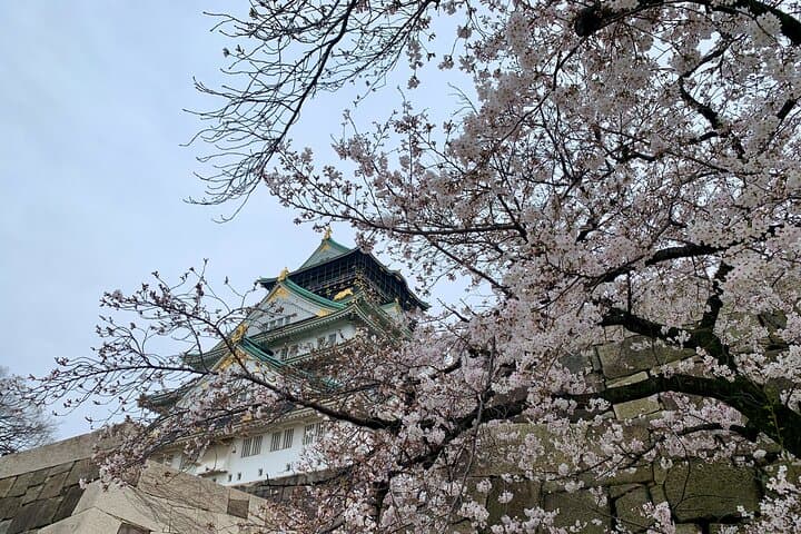 Osaka Highlights: 4Hrs Guided Walking Tour with a Native Expert — photo 3