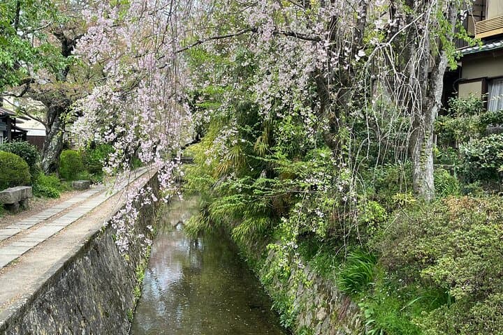3-Hour Private Guided Tour to Kyoto Silver Pavilion — photo 7