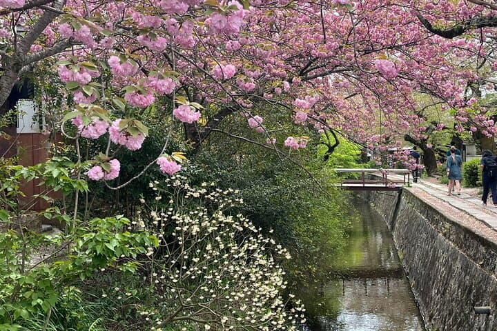 3-Hour Private Guided Tour to Kyoto Silver Pavilion — photo 8