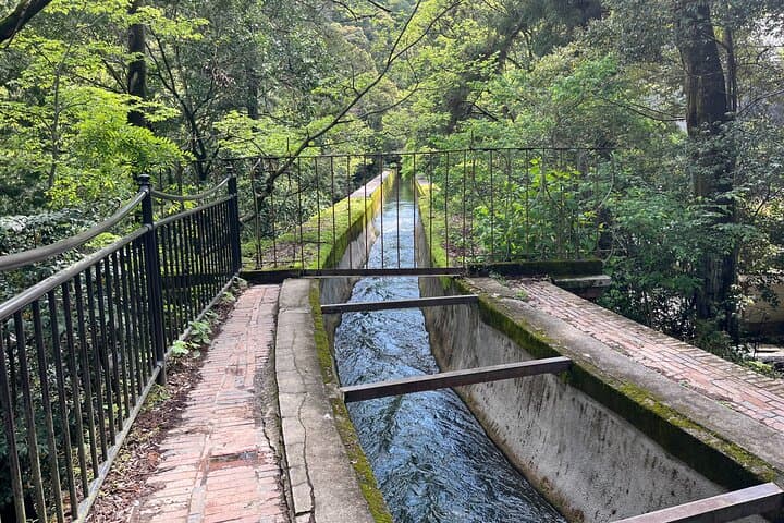 3-Hour Private Guided Tour to Kyoto Silver Pavilion — photo 3
