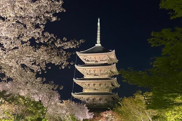 Full Day Private Tour in Kyoto with Pickup — photo 7
