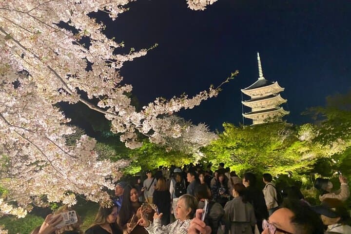 Full Day Private Tour in Kyoto with Pickup — photo 8