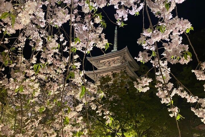 Full Day Private Tour in Kyoto with Pickup — photo 9