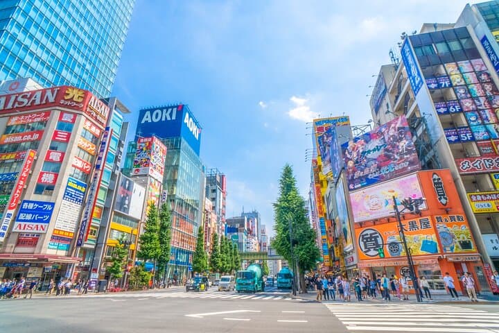 From History to Subculture: Akihabara & Ueno Must-See Tour! — photo 9
