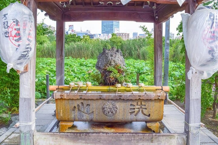 From History to Subculture: Akihabara & Ueno Must-See Tour! — photo 14