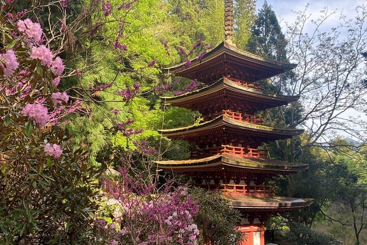 Exclusive Luxury Day Tours Serene Nara — photo 2