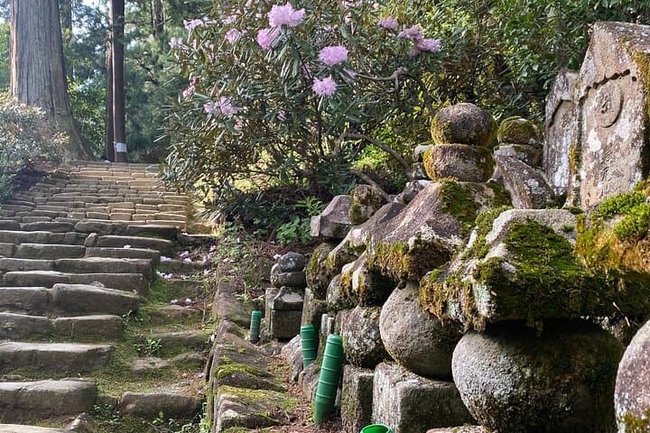 Exclusive Luxury Day Tours Serene Nara — photo 5