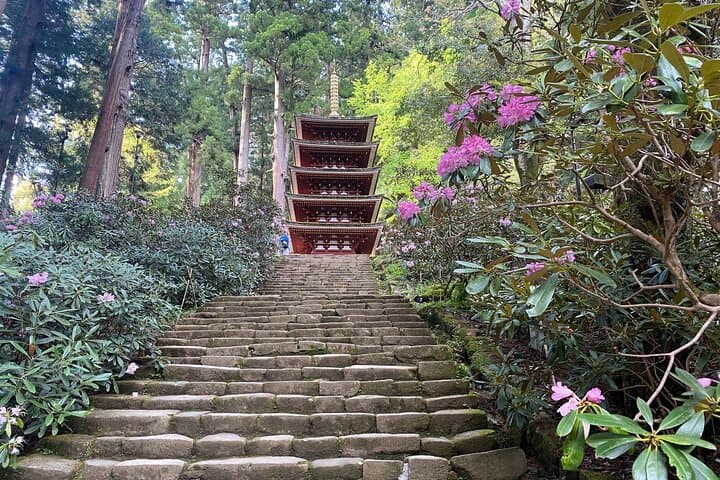 Exclusive Luxury Day Tours Serene Nara — photo 6