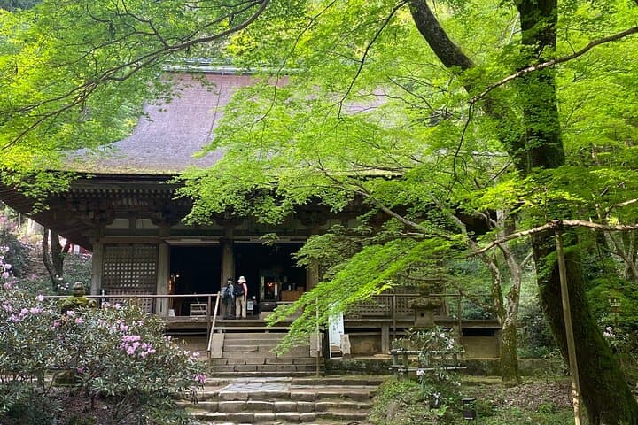 Exclusive Luxury Day Tours Serene Nara — photo 9