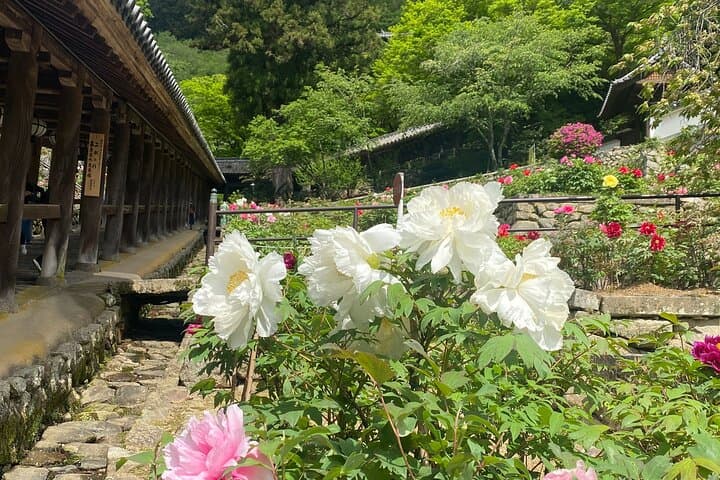 Exclusive Luxury Day Tours Serene Nara — photo 10
