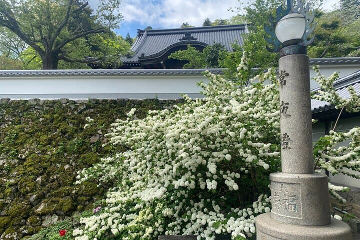 Exclusive Luxury Day Tours Serene Nara — photo 11